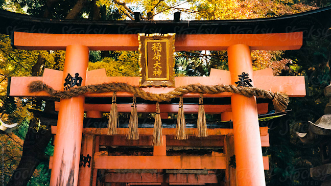 Screenshot 25